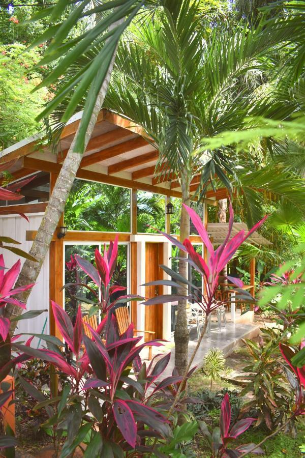 Fuego Lodge Playa Santa Teresa  Extérieur photo